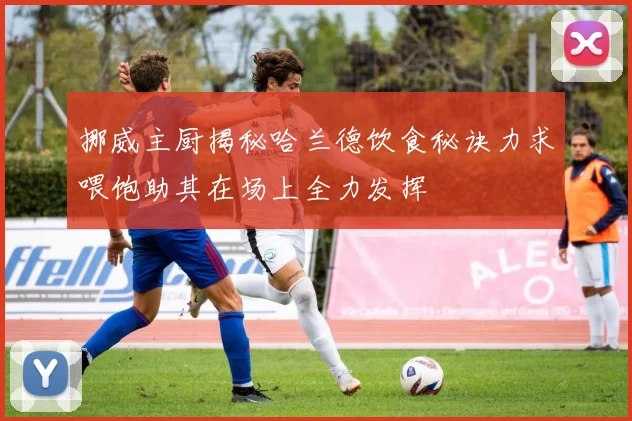 挪威主厨揭秘哈兰德饮食秘诀力求喂饱助其在场上全力发挥